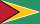flag of Guyana