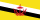 the Brunei flag