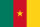 the Cameroon flag