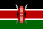 the Kenya flag