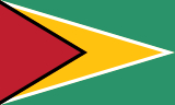 flag of Guyana