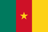 the Cameroon flag