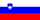 the Slovenia flag