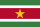 Suriname national flag