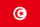 the Tunisia flag