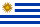 the Uruguay flag